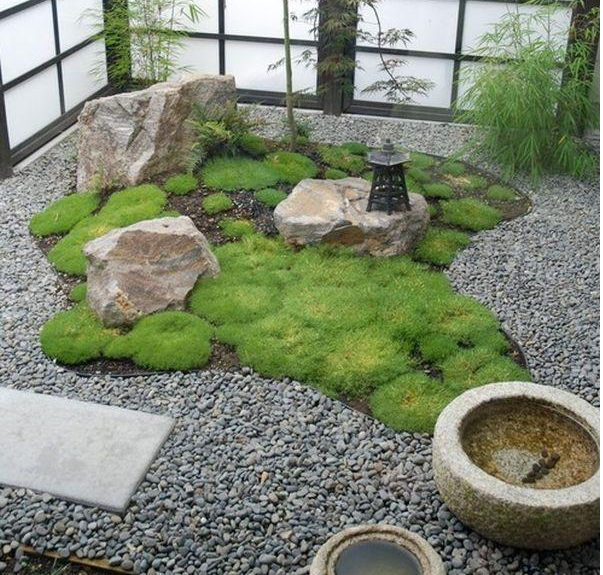 青岛庭院植物养护选择西维亚