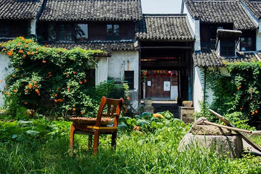 愿得一庭院，用力生活