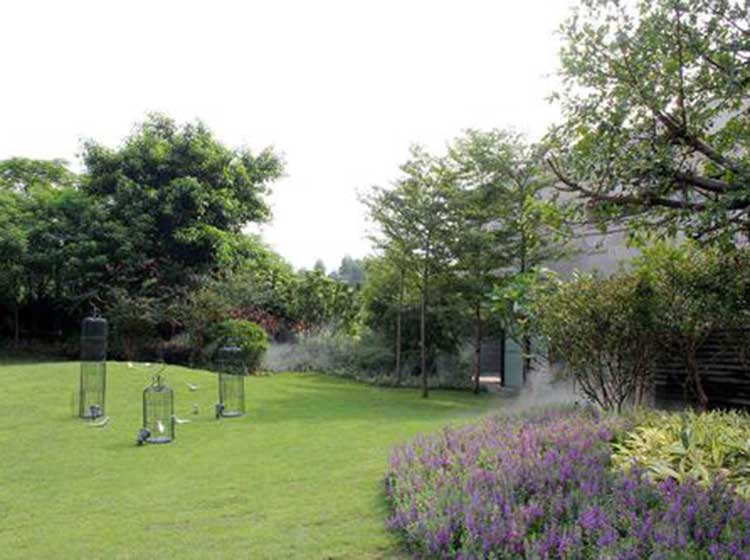 青岛庭院植物养护
